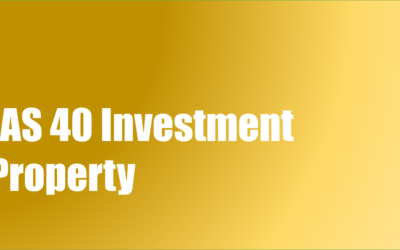 IAS 40 Investment Property | Examples | PDF