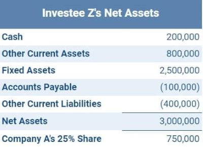 investee z net asset