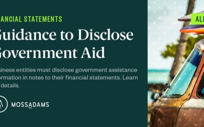 New Government Assistance Disclosure Requirements