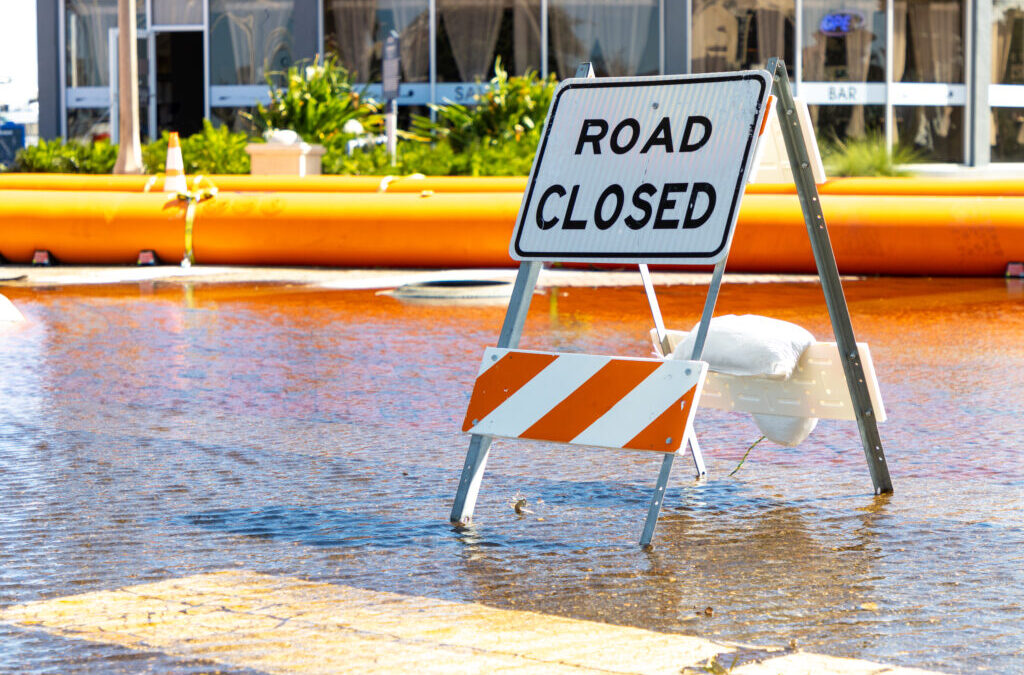 Accounting for Economic Disruption: Natural Disasters