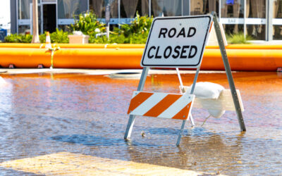 Accounting for Economic Disruption: Natural Disasters